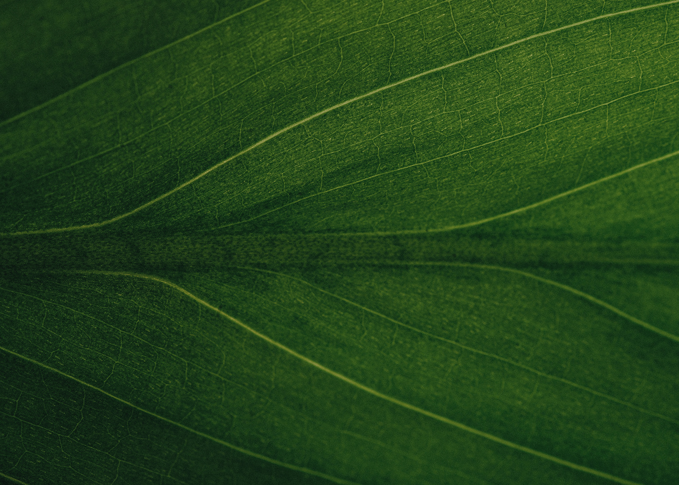 Zrównoważony rozwój